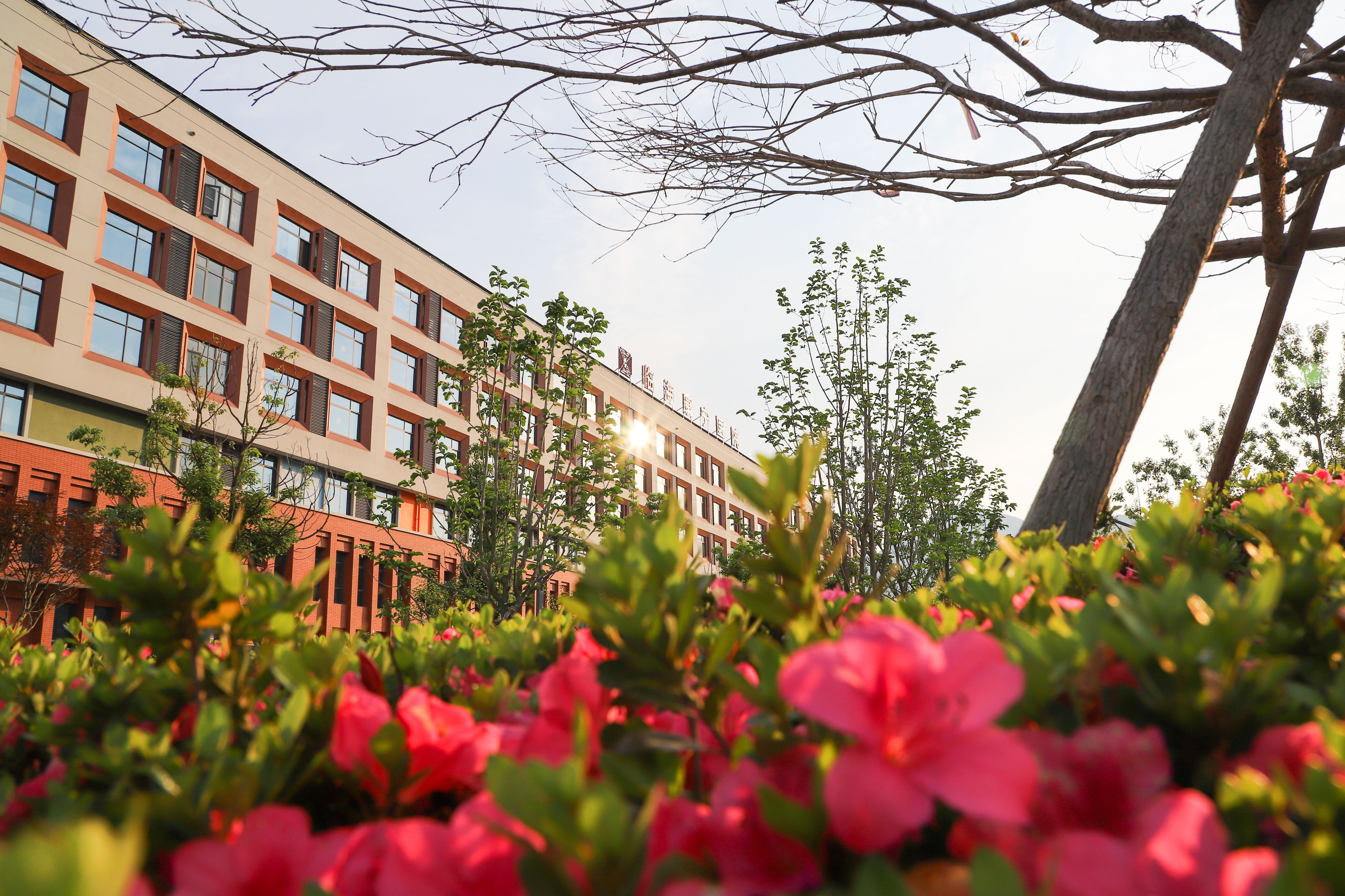 IMG_9445_1.jpg IMG_9445_1.jpg