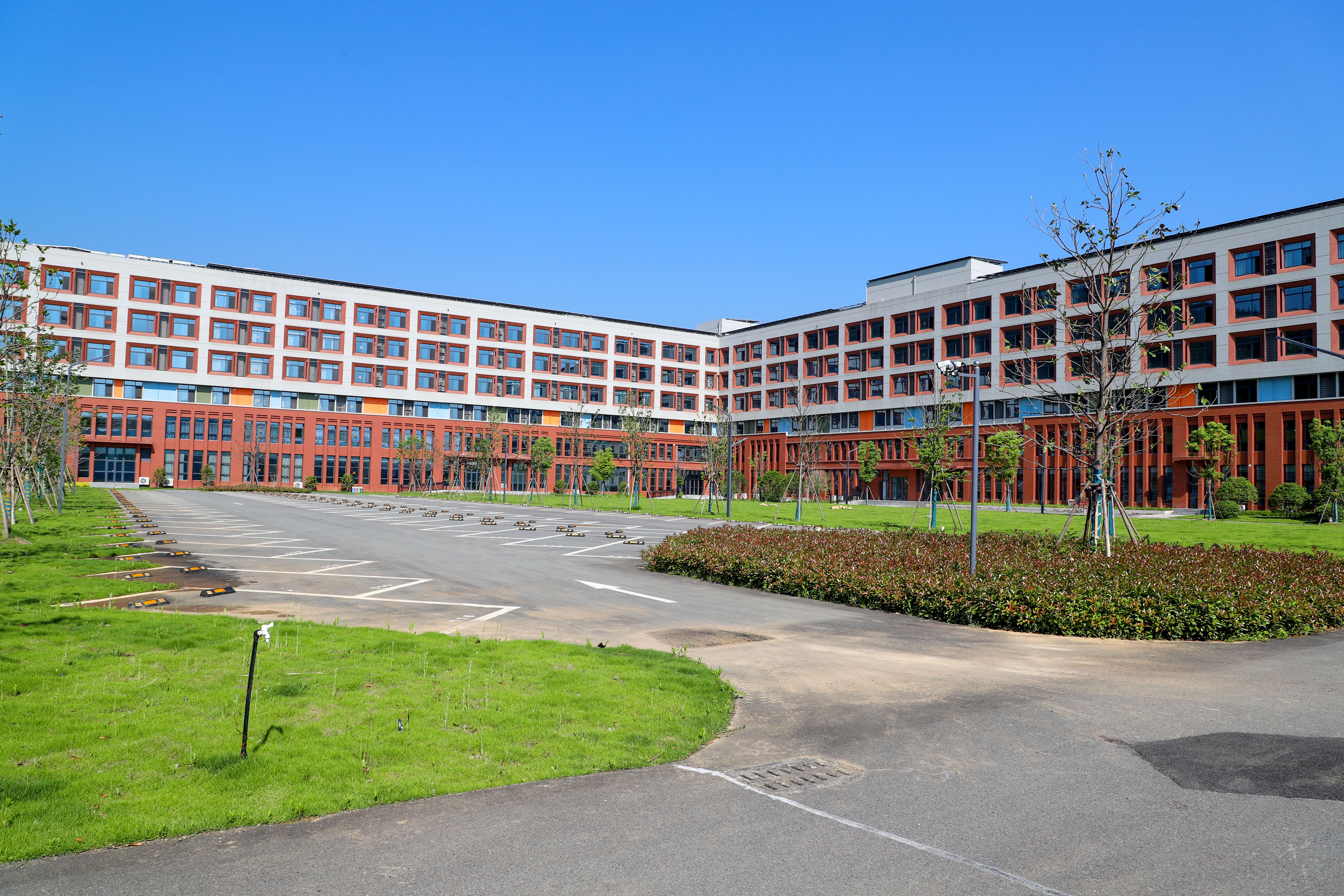 IMG_9478_1.jpg IMG_9478_1.jpg