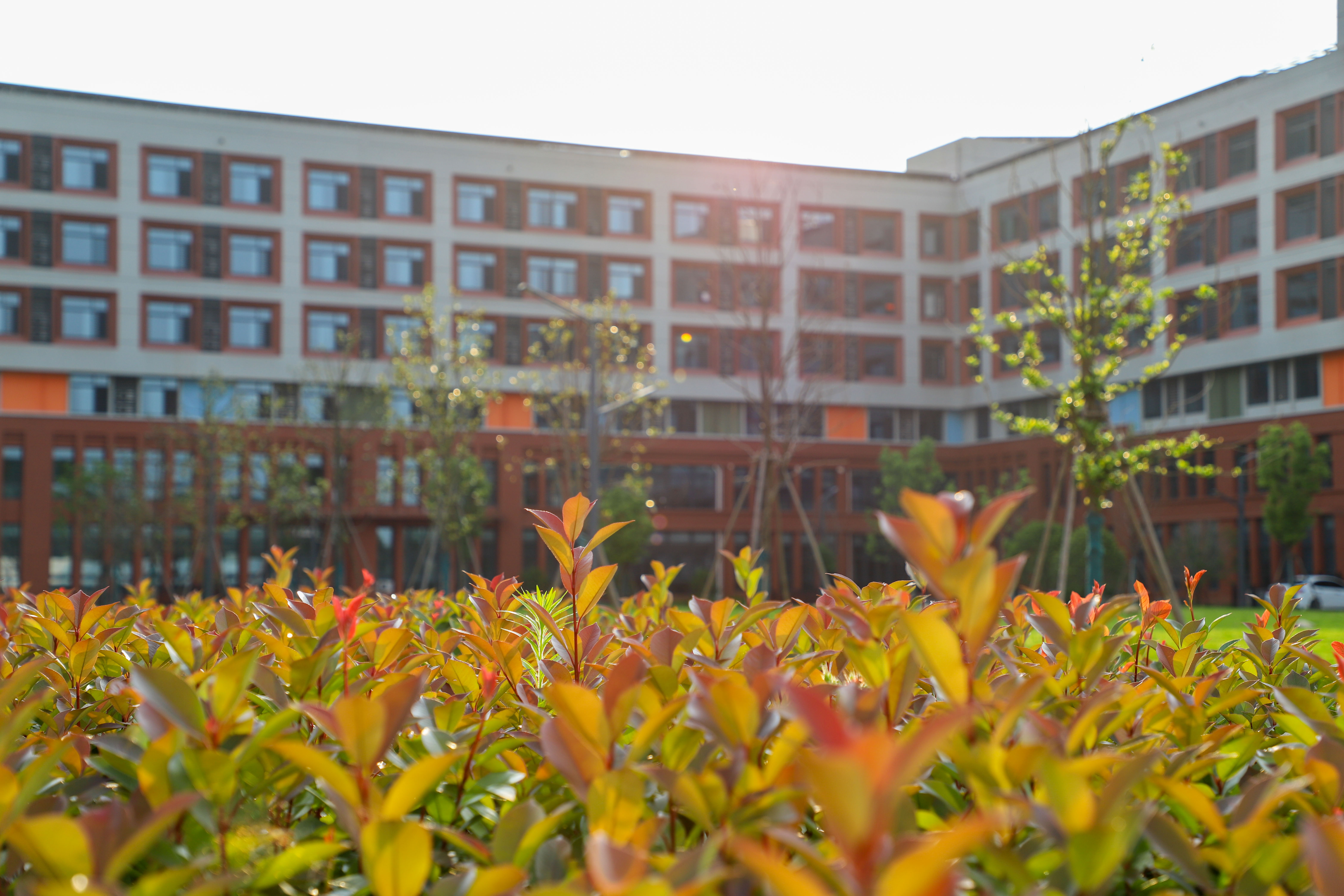 IMG_9437_1.jpg IMG_9437_1.jpg